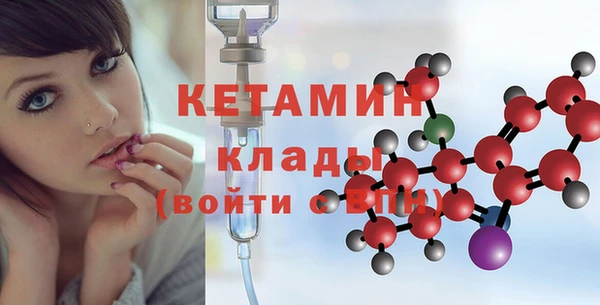сатива Карпинск