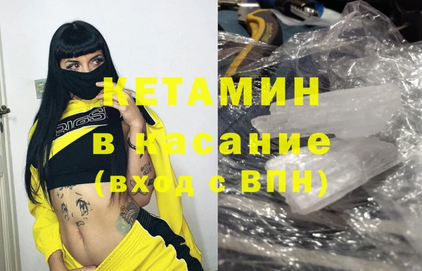сатива Карпинск