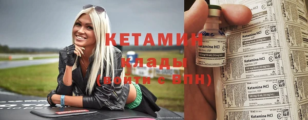 сатива Карпинск