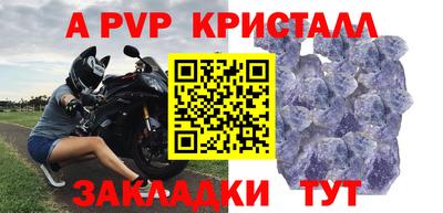 СК Моздок
