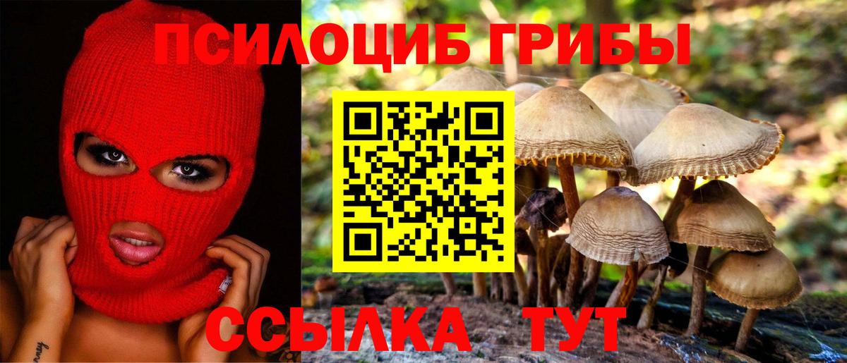 Псилоцибиновые грибы GOLDEN TEACHER Орск