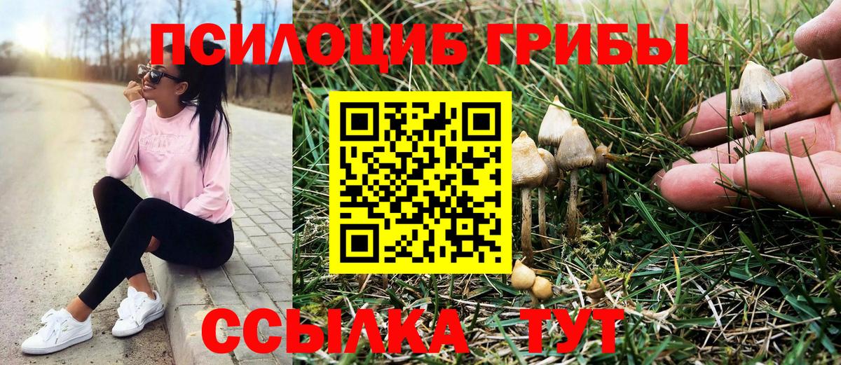 Орск  Псилоцибиновые грибы MAGIC MUSHROOMS  Вход с VPN  Псилоцибиновые грибы прущие грибы 